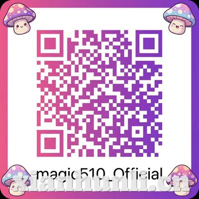 红桃视频公众号