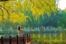 久久精品国产亚洲av麻豆瑜伽-论久久精品国产亚洲av麻豆瑜伽的文化现象与引导思考