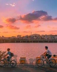 下载糖心app苹果版-体验APP新纪元，iOS平台上的糖心应用之旅